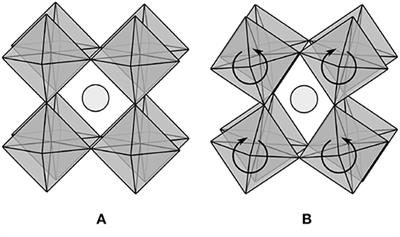 Topological Constraint Theory for Network Glasses and Glass-Forming Liquids: A Rigid Polytope Approach
